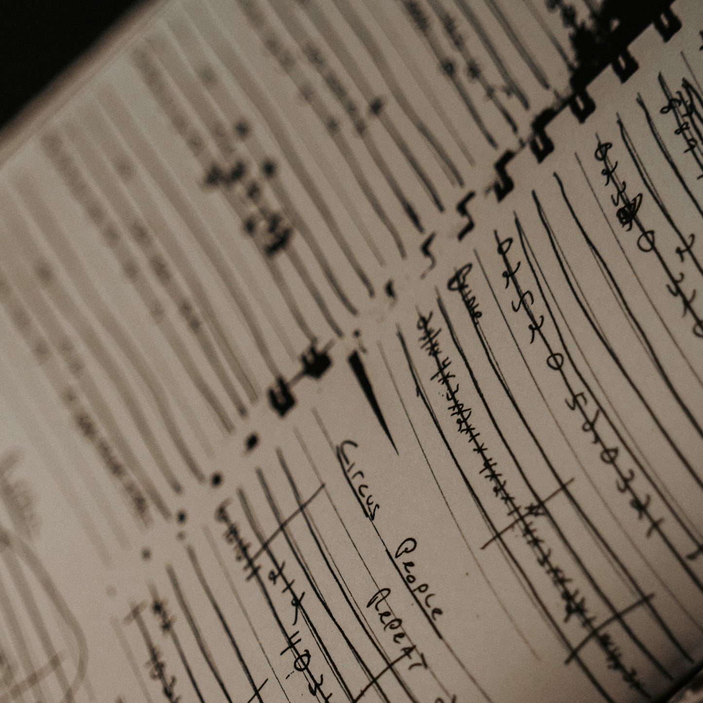 Highly Irresponsible Box Set (Limited to 500)